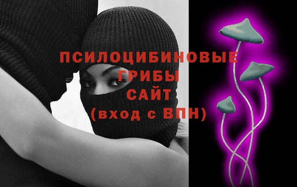 прущие крисы Беломорск