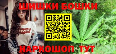 шишки Гай