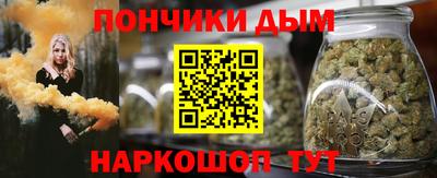 шишки Гай