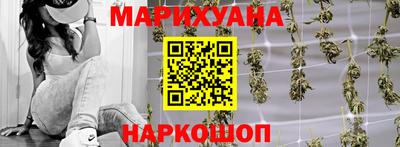 шишки Гай