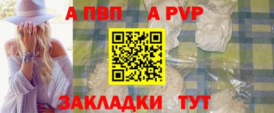 шишки Гай